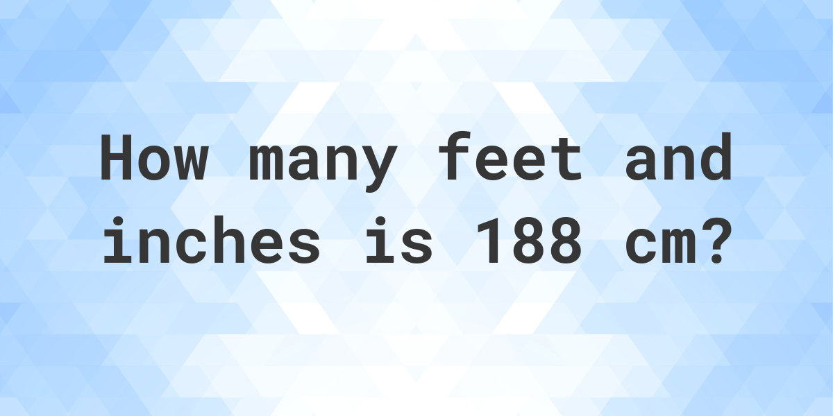 1.88 cm to feet