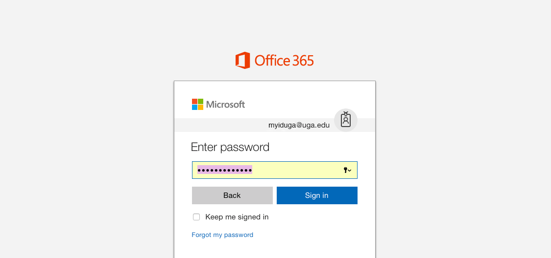 microsoft 365 uga