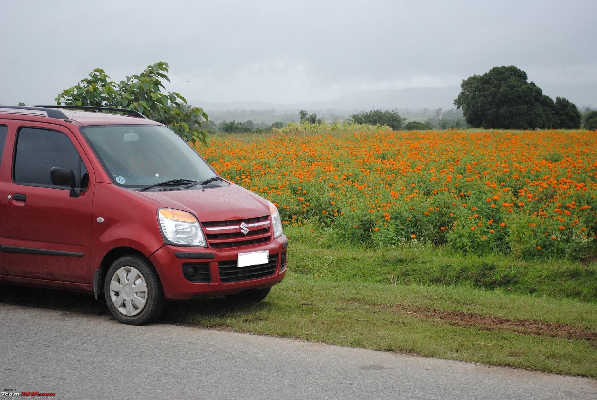 wagon r 2009 mileage