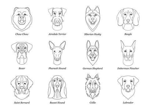 dog face outline