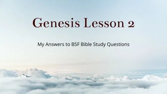 bsf john lesson 2 day 4