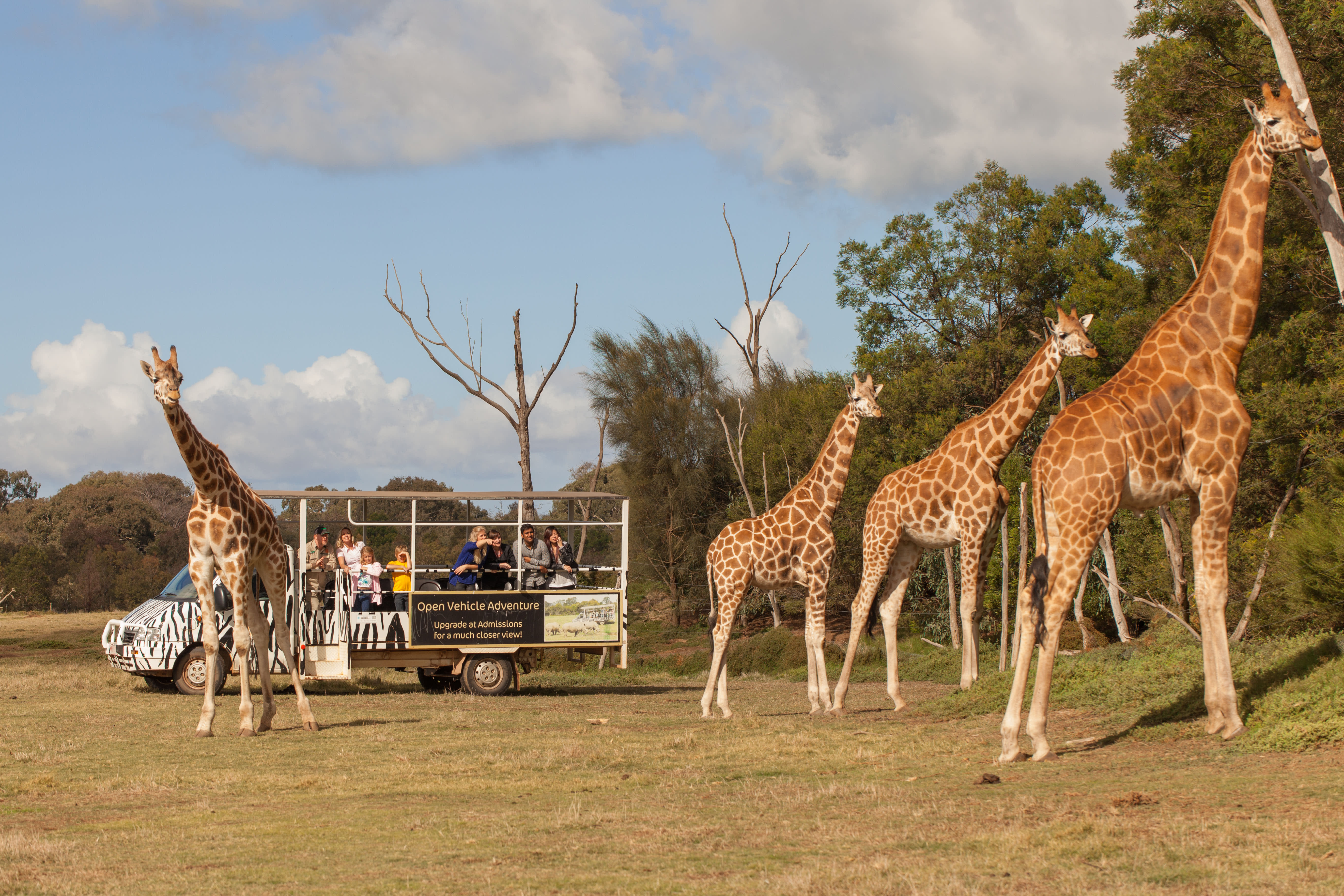 werribee open range zoo tickets