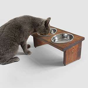 cat bowl and stand