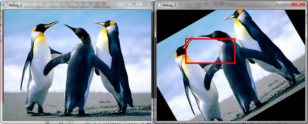 opencv rotate image