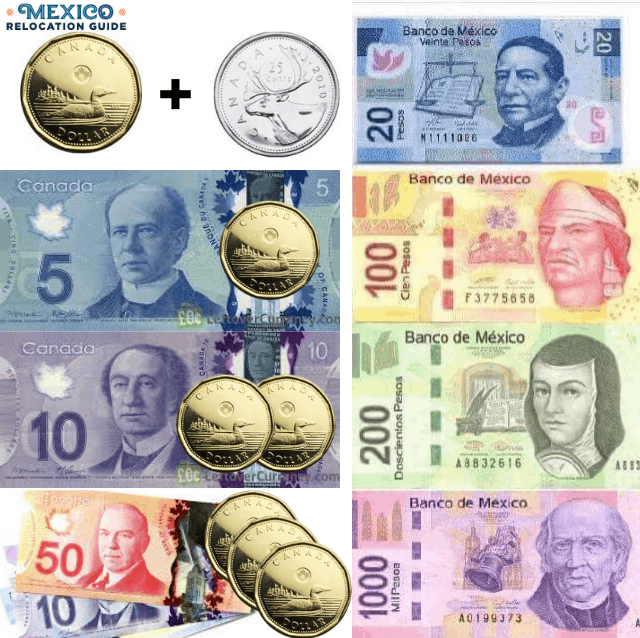 5 us dollars to pesos