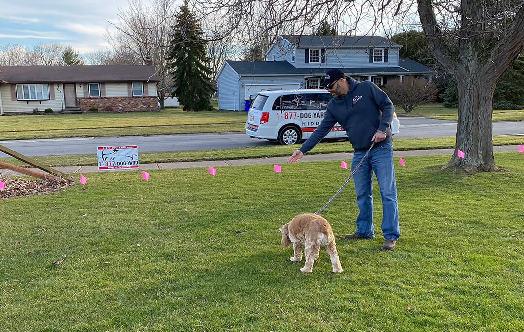 invisible fence of erie