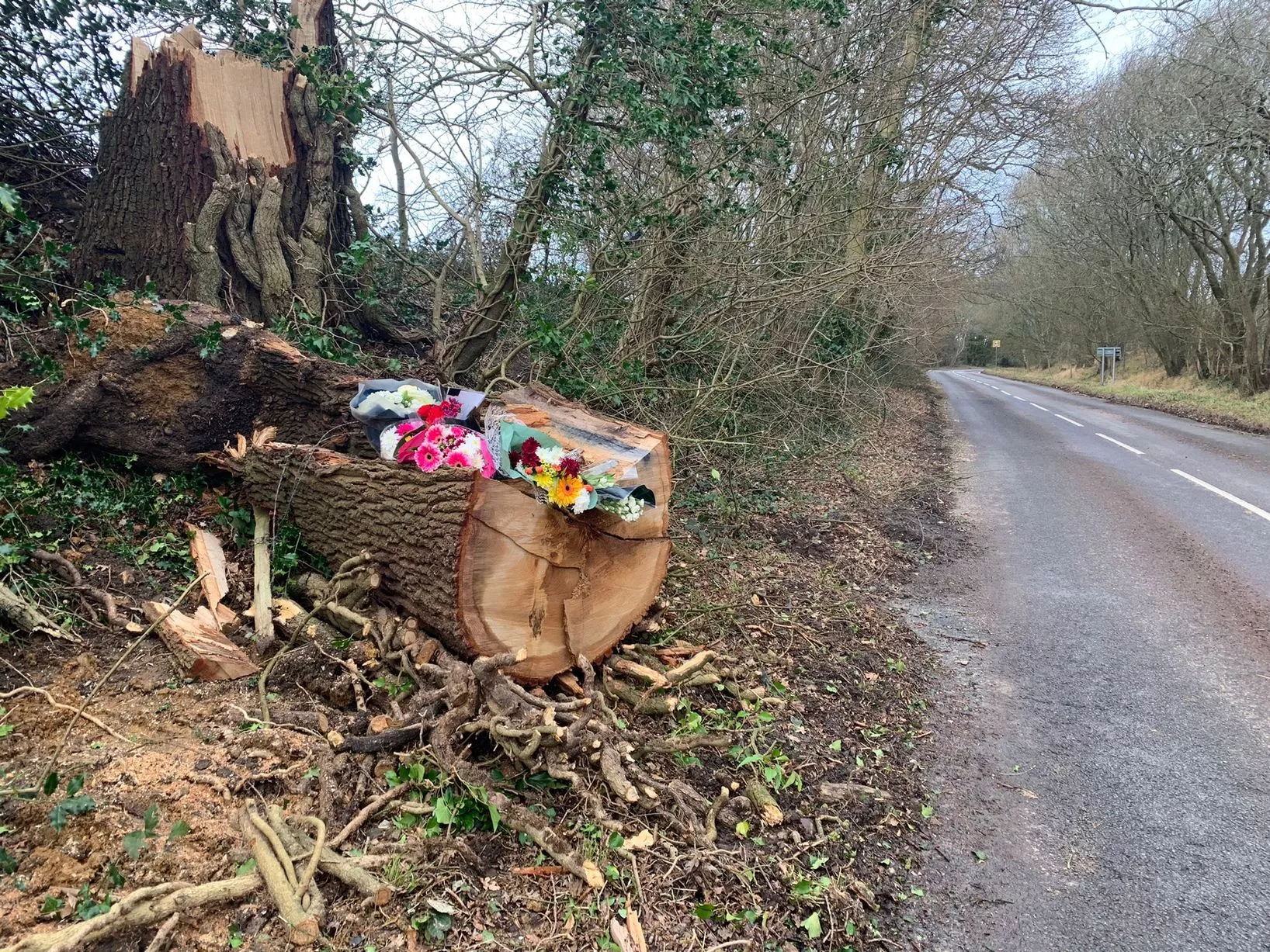 accident in alton hampshire today