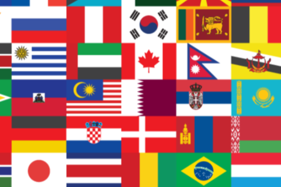 guess the countrys flag