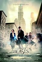 fantastic beasts and where to find them imdb