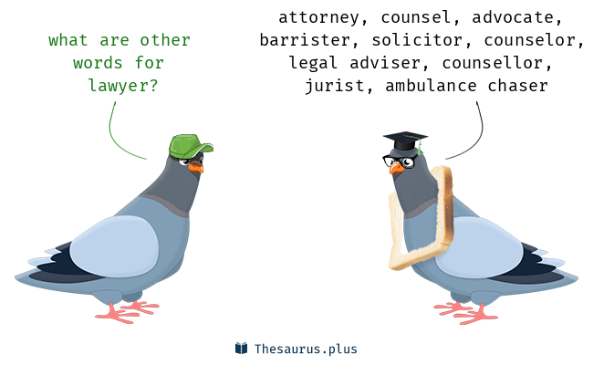 lawyer thesaurus