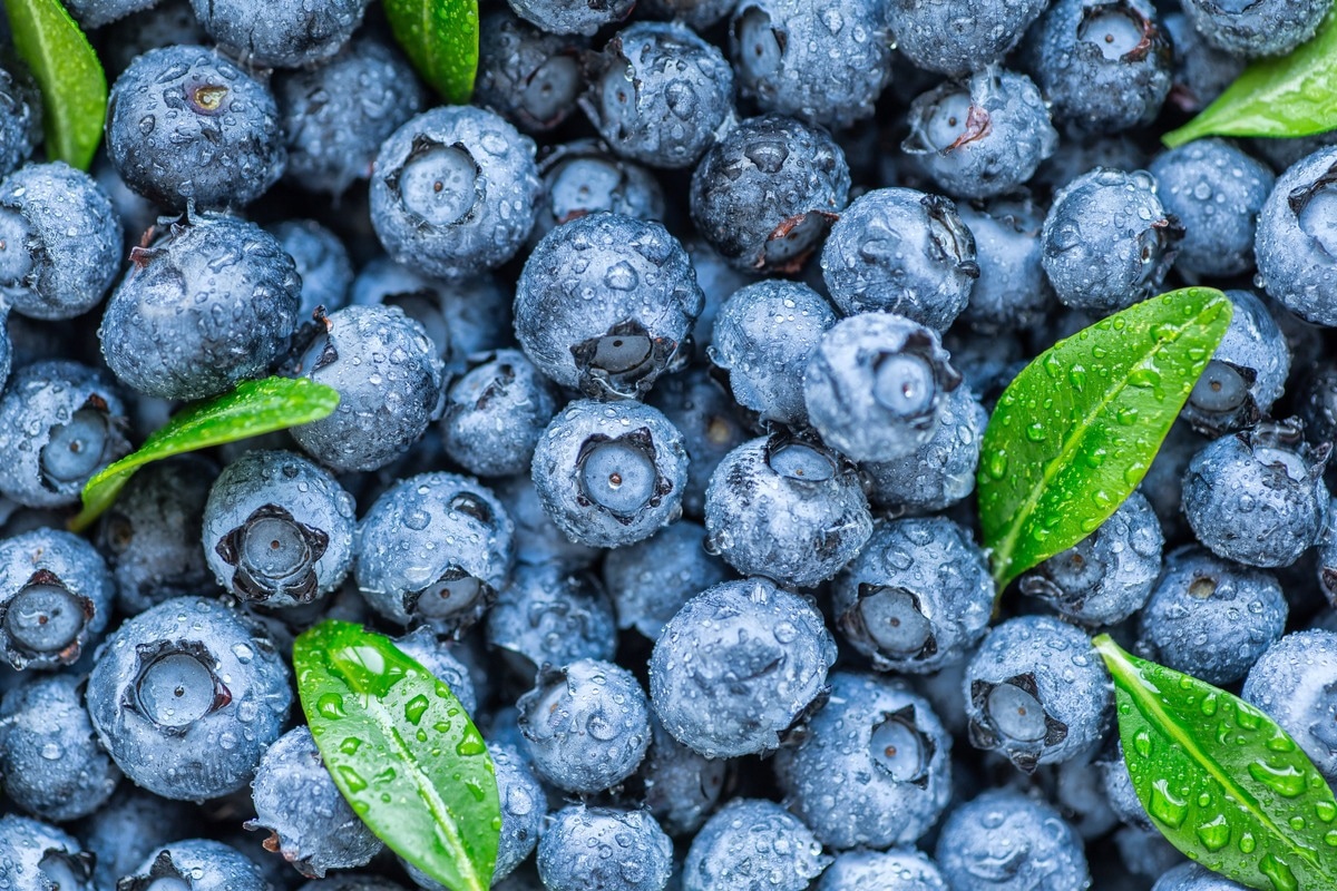 image of a blueberry