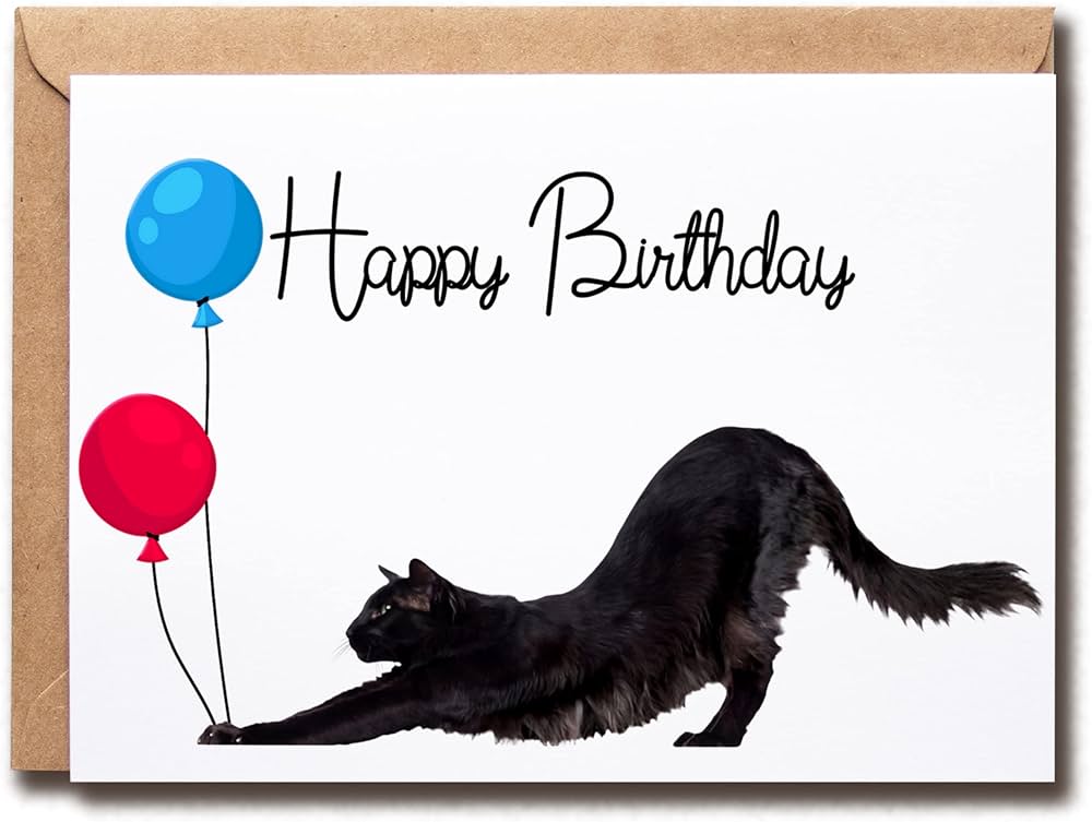 happy birthday cats funny