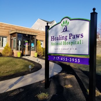 healing paws veterinary clinic reviews