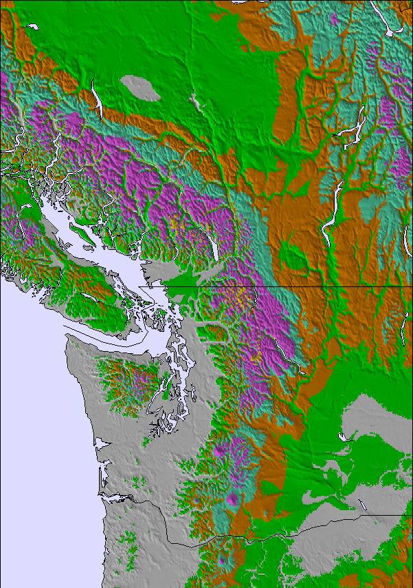 sasquatch snow forecast