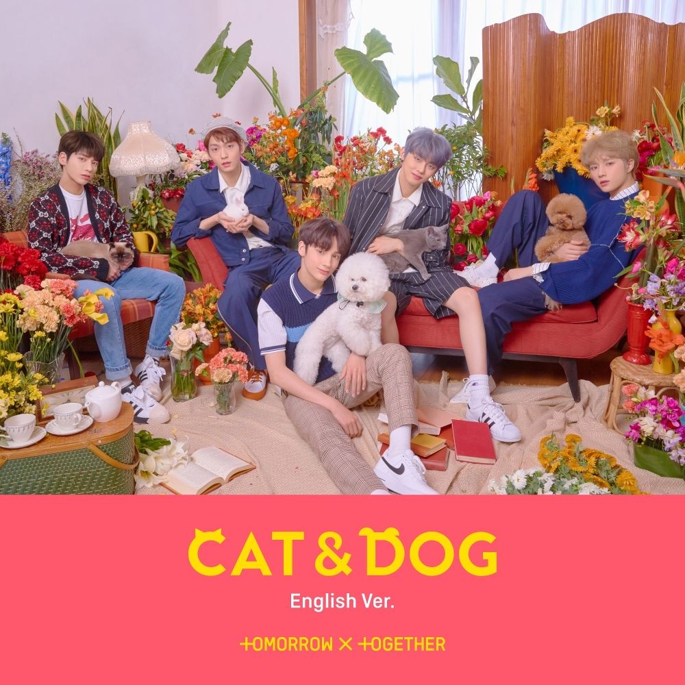 cat and dog english lyrics