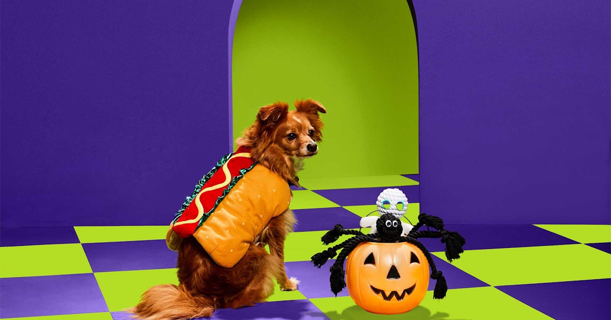 petco halloween grooming package