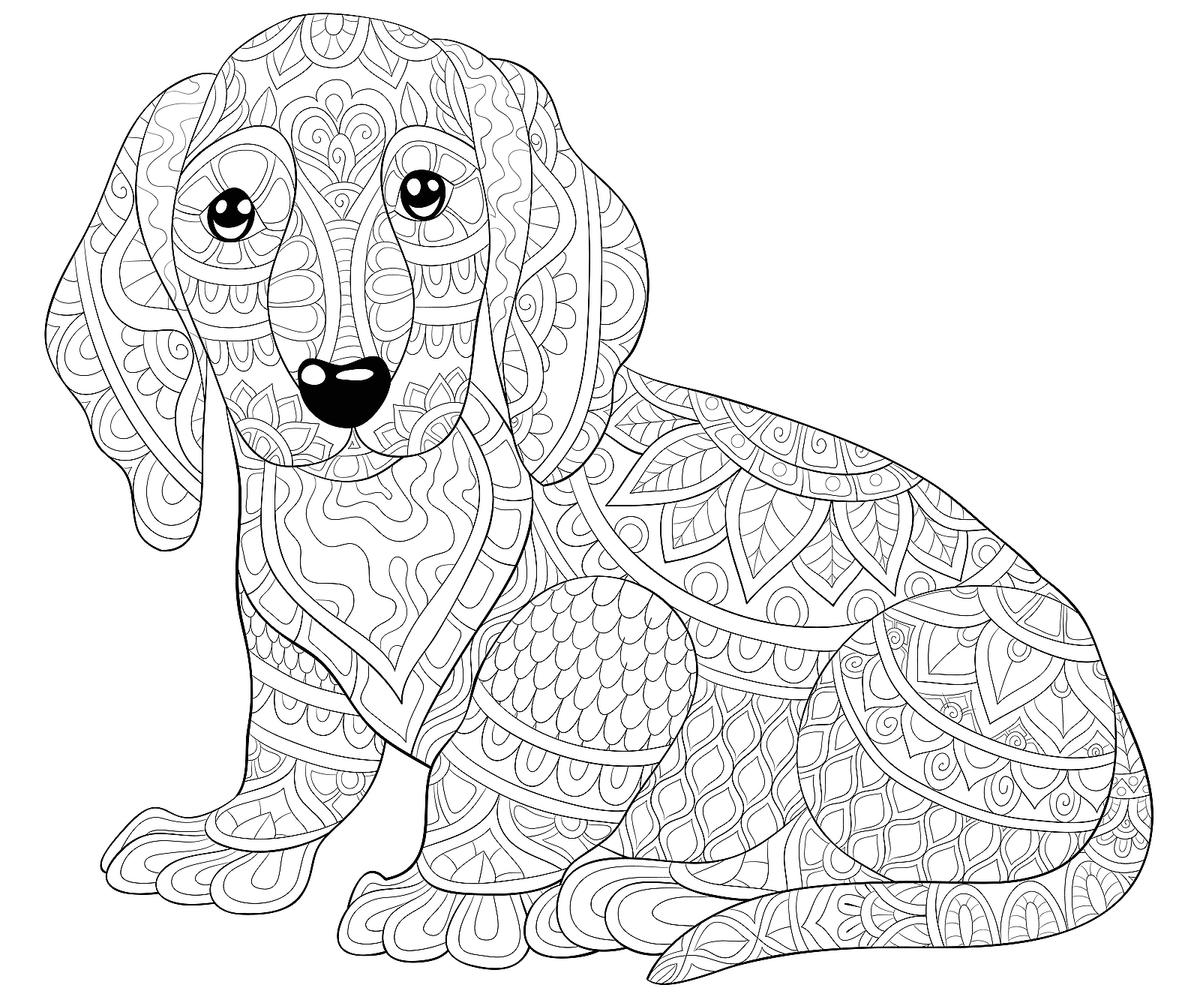 colouring sheets dogs