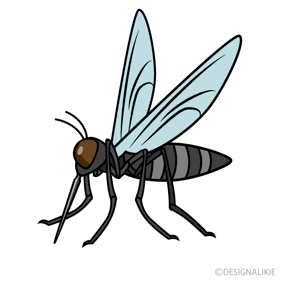 mosquito clipart