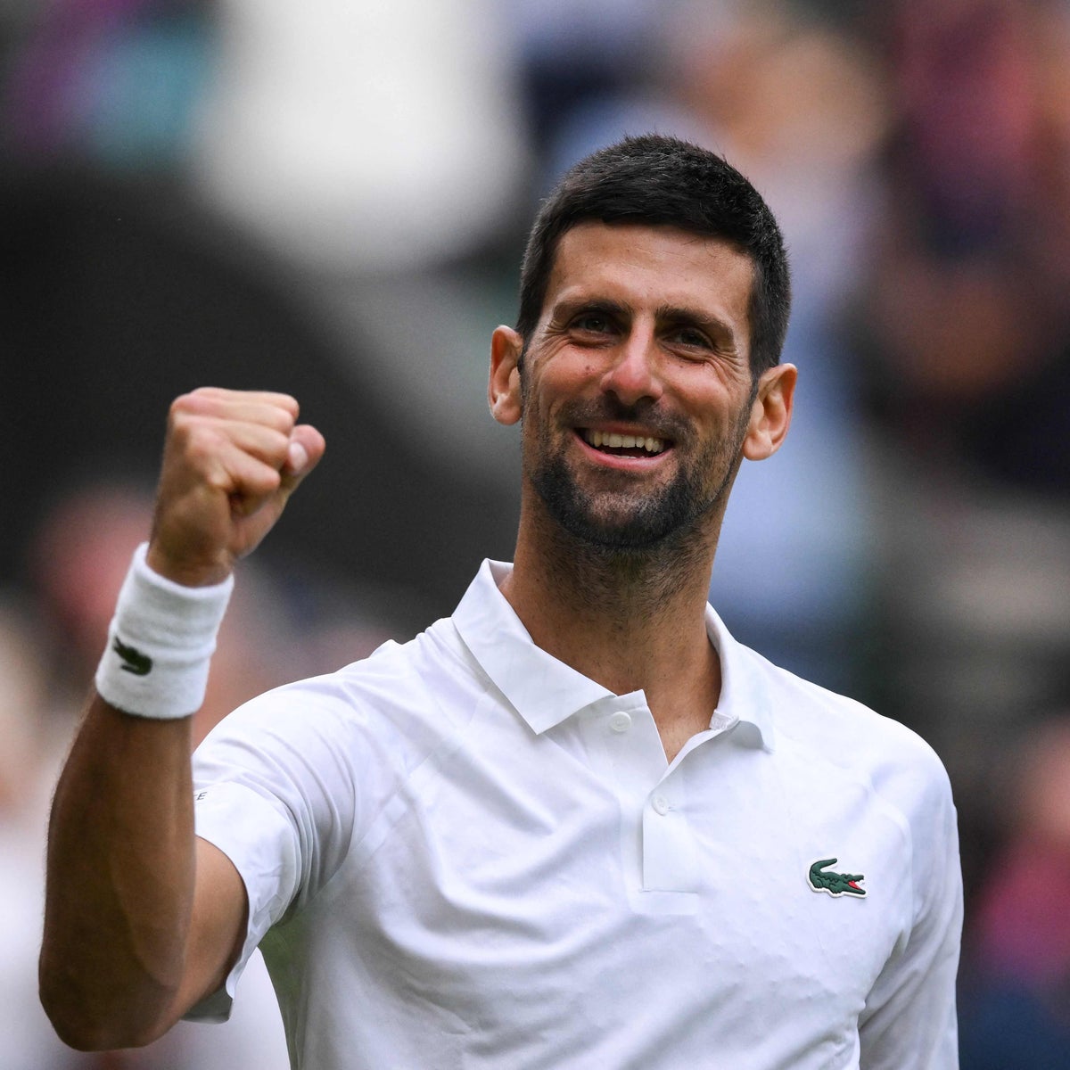 novak net worth 2022