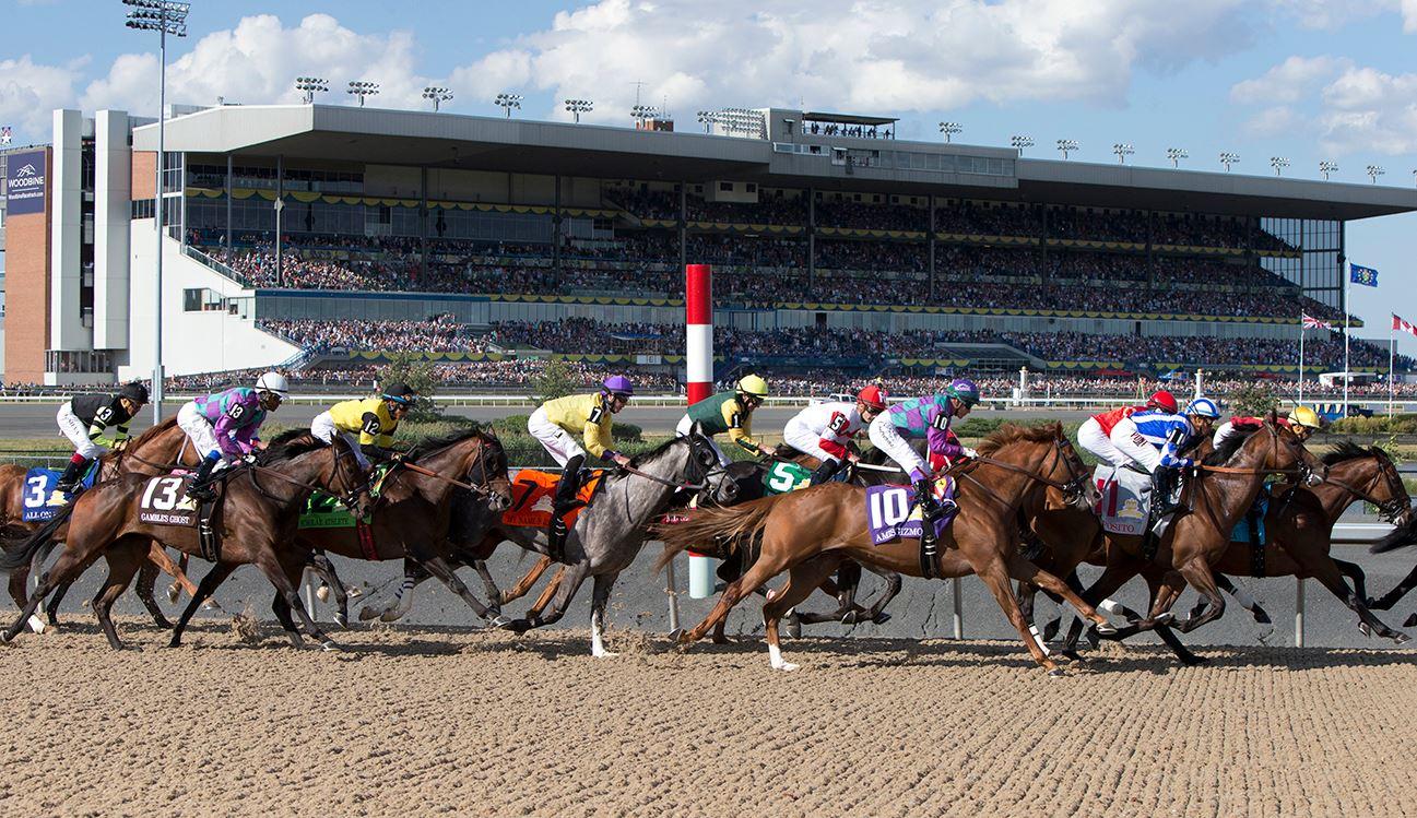 woodbine race track