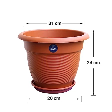 plant pot price