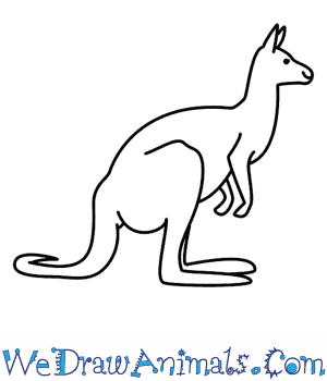 draw a kangaroo