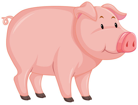 pig clipart