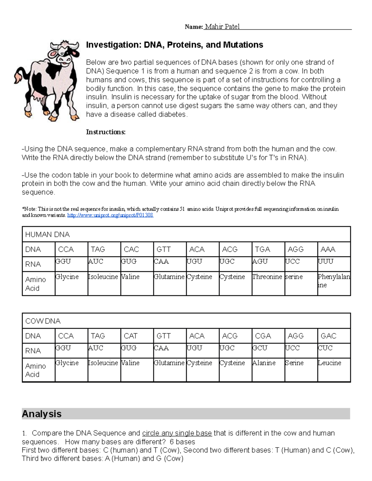 investigation dna proteins and mutations worksheet