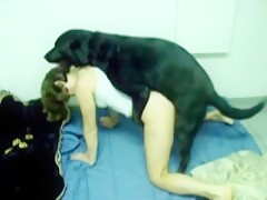 chicas sexo perros