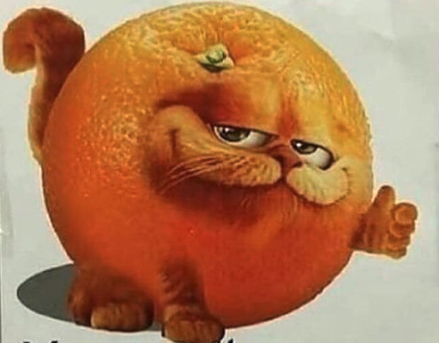 garfield orange