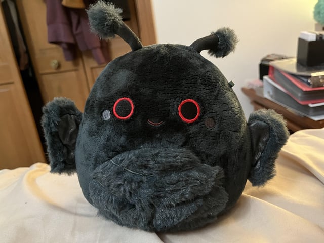 squishmallow mothman