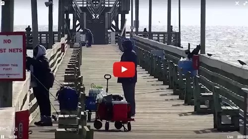 seaview pier camera