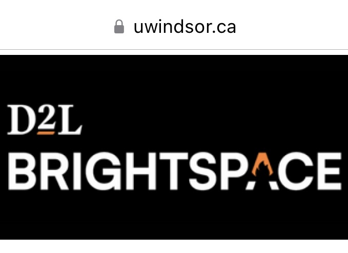 uwindsor brightspace