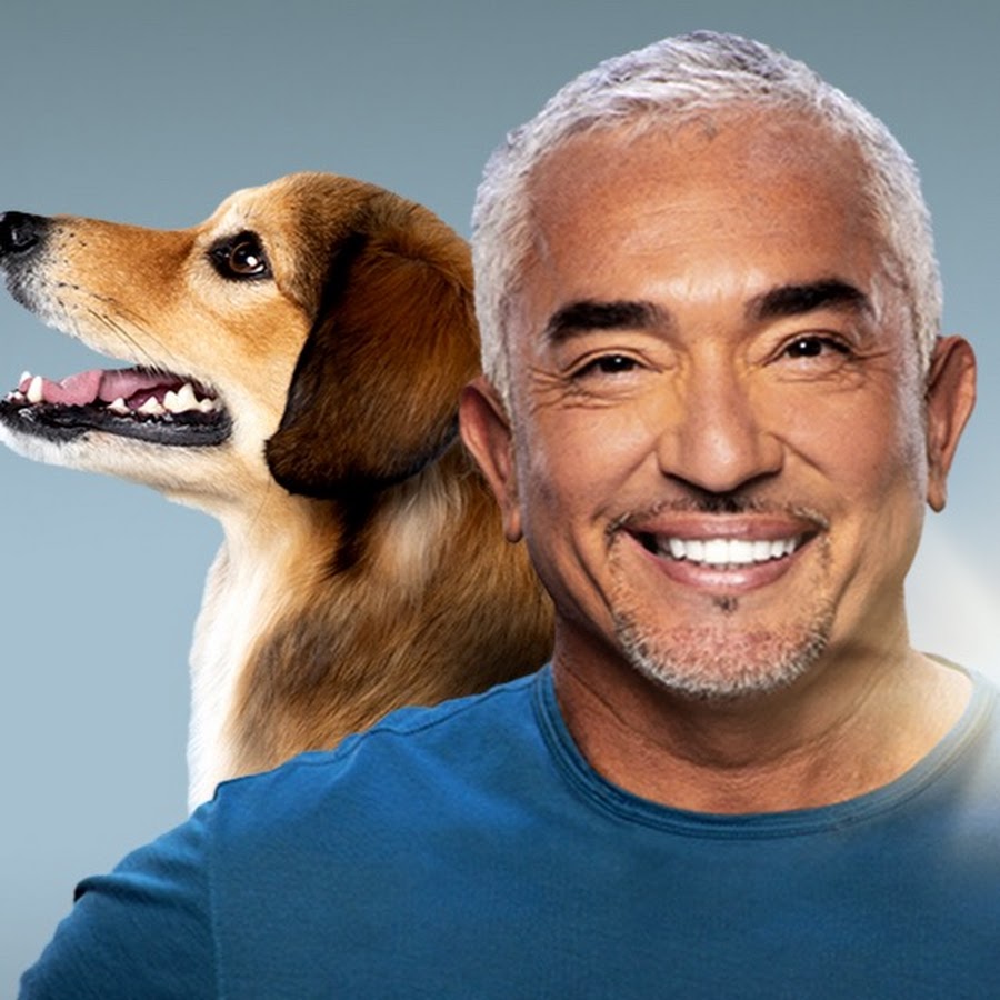 dog whisperer youtube