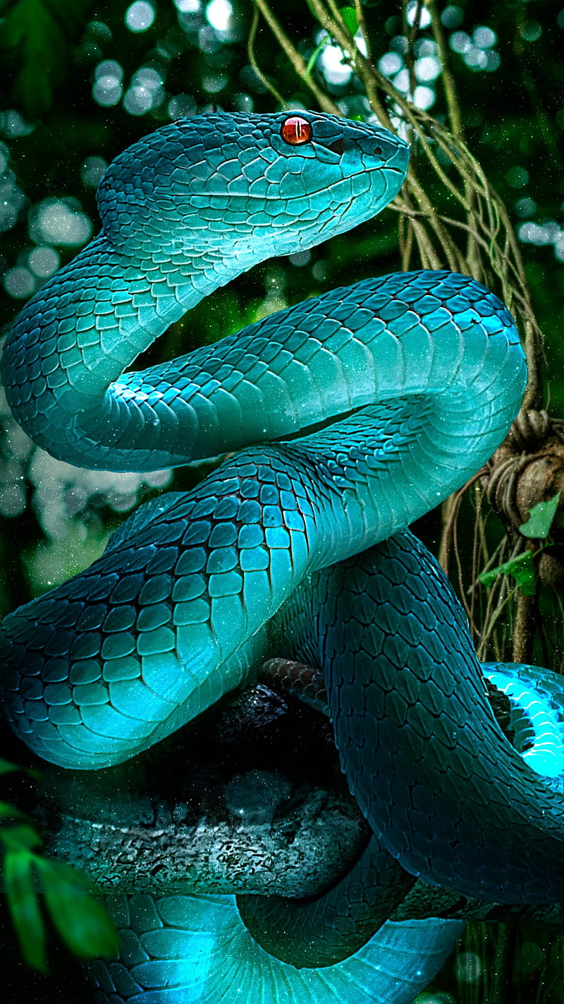 snake wallpaper 3d