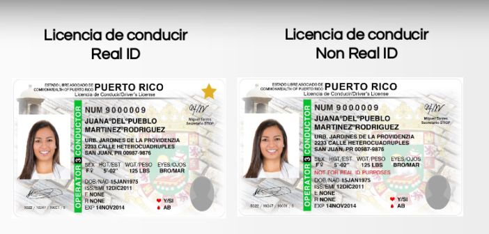 puerto rico drivers license