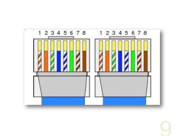 net cable color code