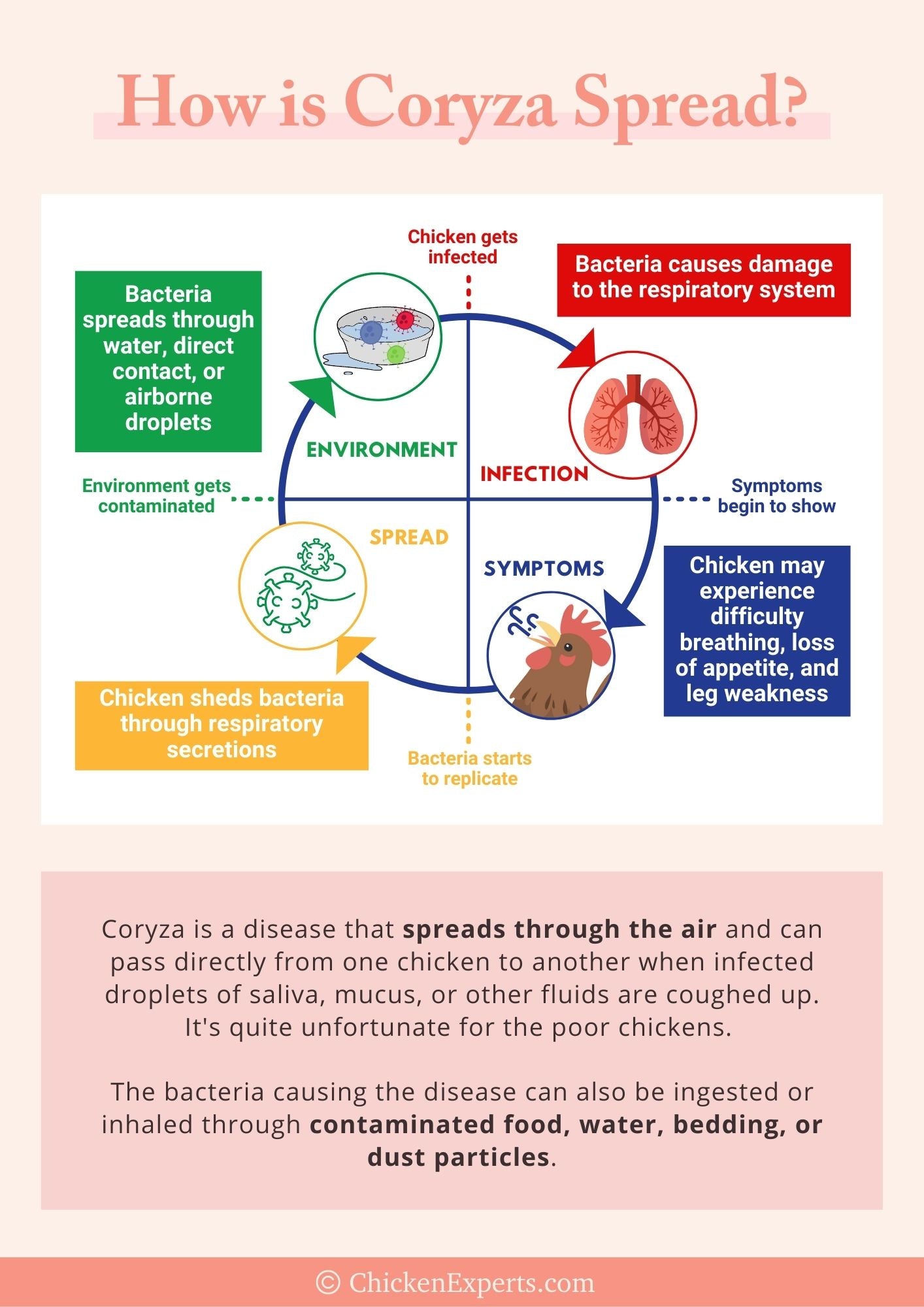 coriza meaning