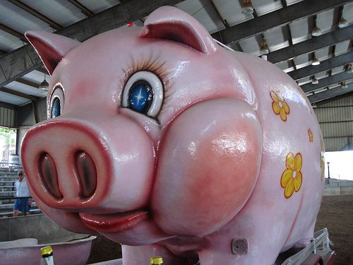 big piggy bank for adults