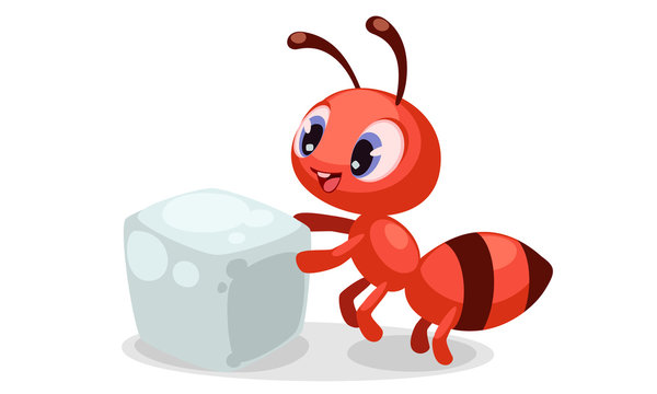 cute ant