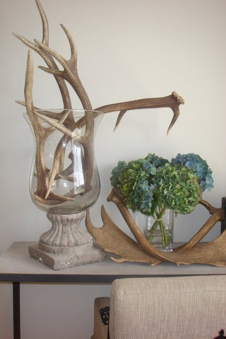 decorative antlers