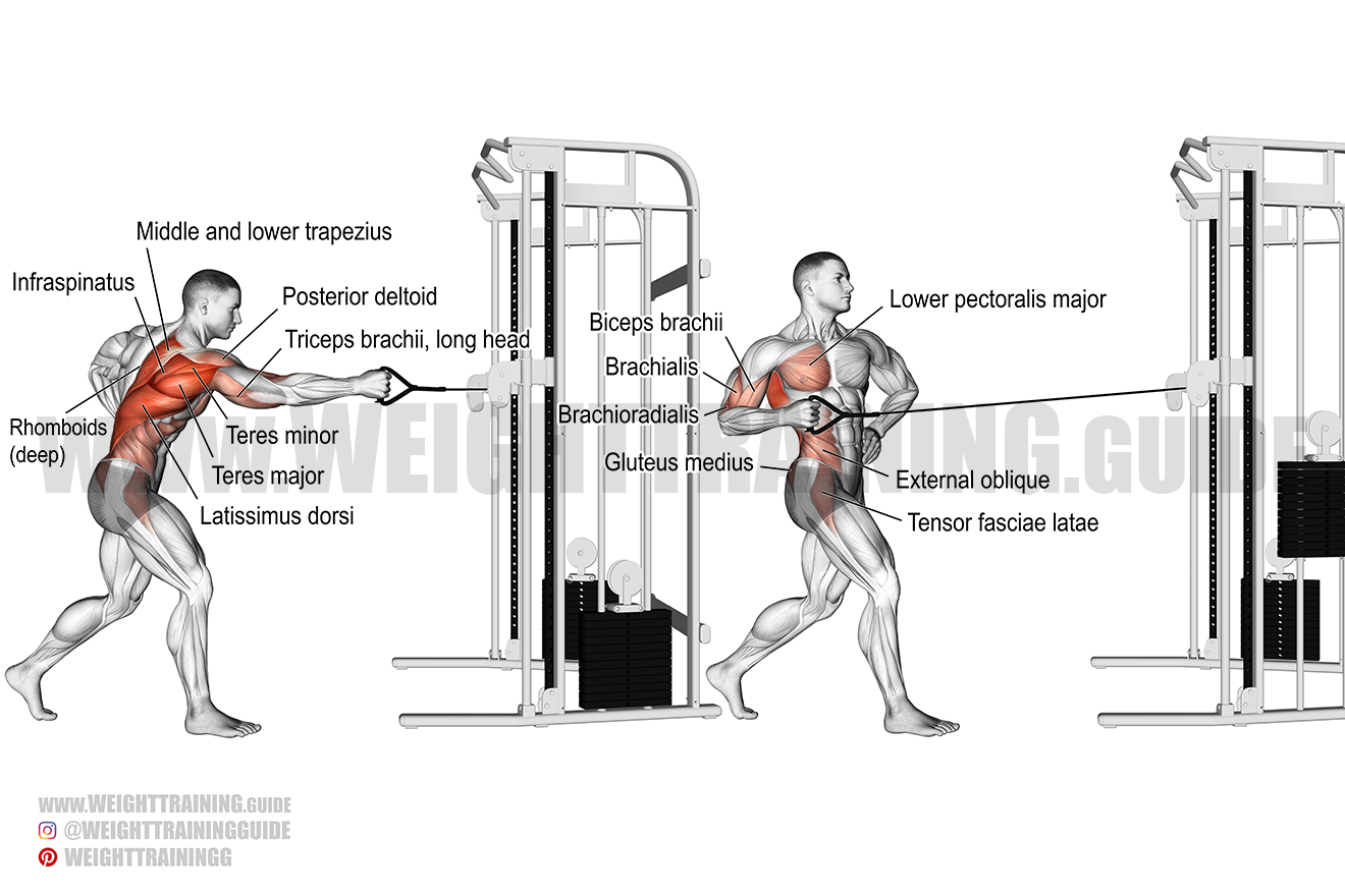 standing single arm cable row