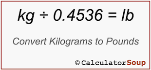 kilogram pound conversion calculator