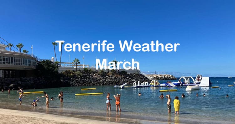 canaries weather february