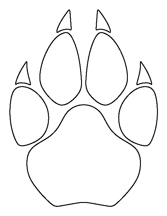 cougar paw drawing