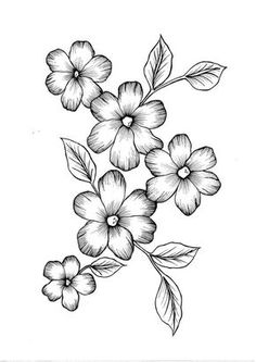 pictures of flowers drawing