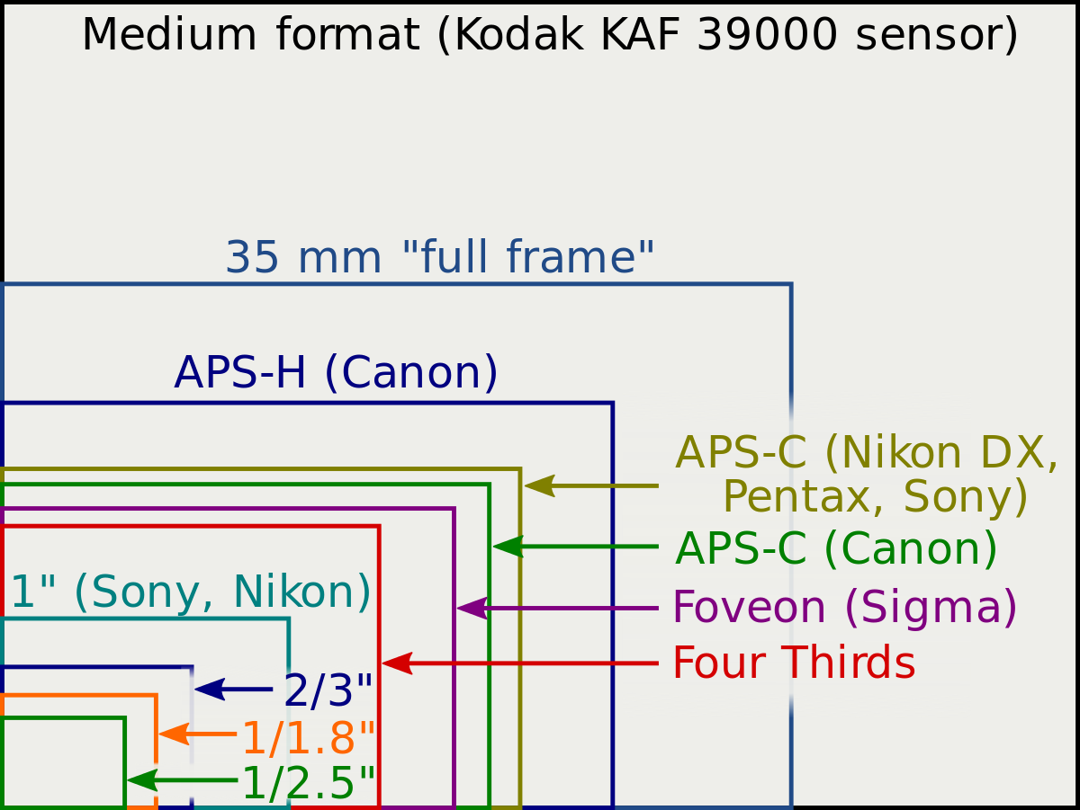 nikon sensor size