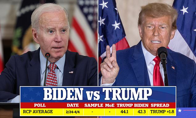 rcp biden vs trump 2024