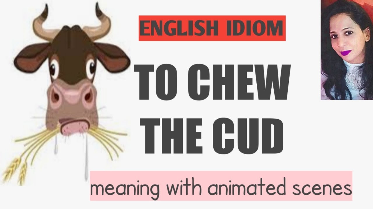 chewing cud meaning in hindi