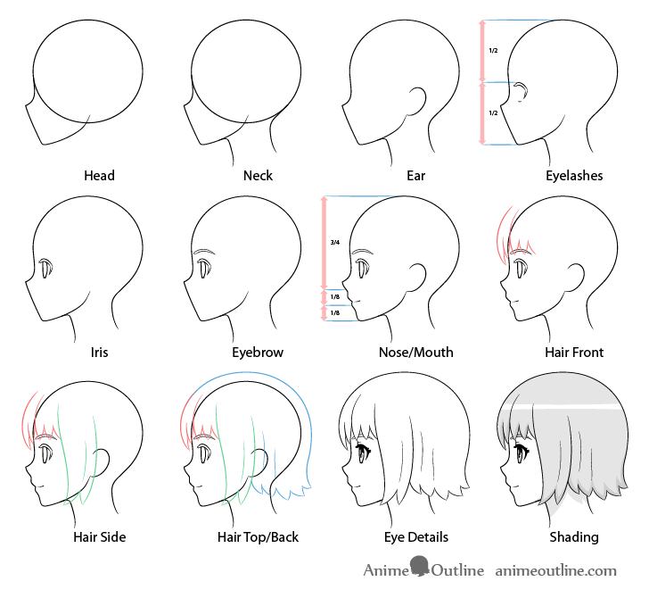 anime face proportions guidelines